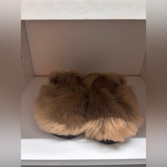 Zagid and voltaire slides - Picture 4 of 6